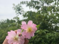 -敬亭山风景名胜区