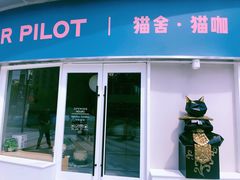 门面-飞行喵MR PILOT|猫舍·猫咖(静安大融城店)