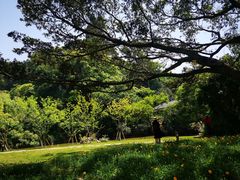 -江心屿景区