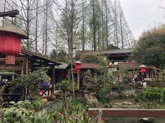 -青城甲(青城山店)