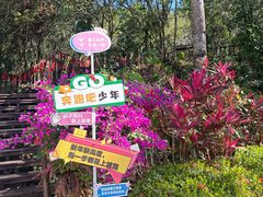 -七仙岭温泉国家森林公园