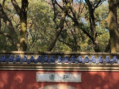-灵谷景区