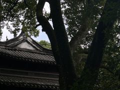 -天一阁博物院
