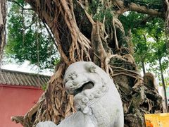 -闽粤南澳总镇府