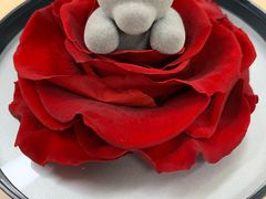 -ROSEONLY诺誓(国际广场购物中心店)