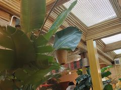 -多哥水傣味餐厅(司马巷店)