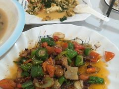 -煲来饱去冷水鱼