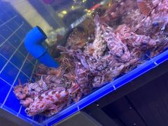 -金海湾海鲜排档(朱家尖店)