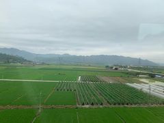 -惠阳站