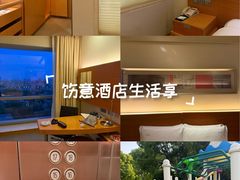 -上海浦东康桥绿地假日酒店