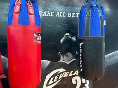 -体育科代表搏击散打体能训练馆(陶然亭店)