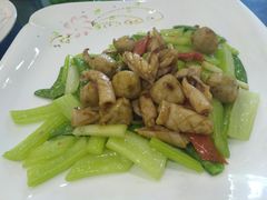 -碧桂园总部(碧江大桥店)