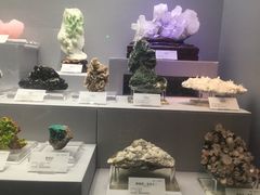 -湖南省地质博物馆