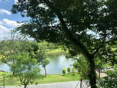 -王借岗森林公园