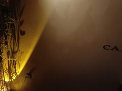 -宁采臣Sleep·采耳·SPA放松馆(湖里万达店)