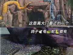 -南宁市动物园