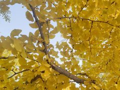 -辽宁大学(崇山校区)