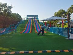 -上海海湾国家森林公园