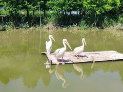 -宁波杭州湾国家湿地公园