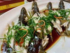 -澳门酒家(南航明珠店)