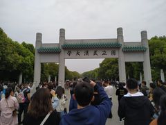 -武汉大学-樱园