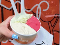 -Dip in Gelato(富民路店)