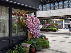 -浦江城市生活广场(江月路店)