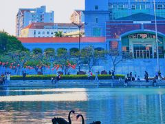 -厦门大学(思明校区)