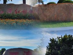 -宝安西湾红树林湿地公园