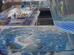 -大连湾旭日饭店(大连湾店)