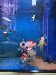 -雕哥的纹身店A3 TATTOO&纹身培训