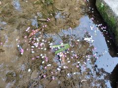 -桃花涧