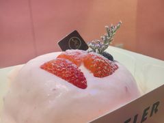 -狐狸和向日葵(北京路店)
