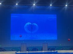 -石家庄极地海洋世界