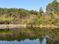 -南京市无想山景区