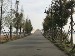 -东湖落雁景区