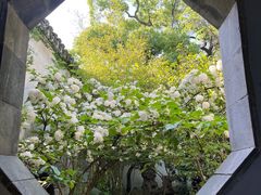 -惠山古镇·寄畅园