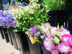 -ChaKo Flora ·茶子花艺 (市北店)