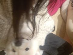 -逗柴咖啡屋·狗咖猫咖宠物桌游