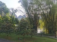 -广悦华阳朔河畔度假酒店(十里画廊遇龙河店)