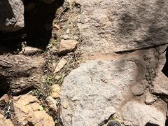 -黑龙潭风景区