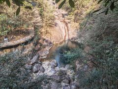 -花岩国家森林公园