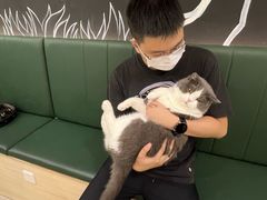 -安格丽娜·狗咖·猫咖羊驼咖(春熙路百盛商场店)