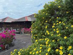 -卡帕莱度假村(西巴丹岛)