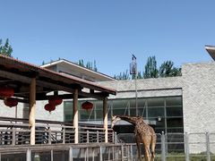 -石家庄市动物园