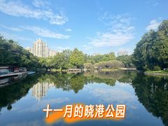 -晓港公园