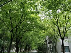 -南京航空航天大学(明故宫校区)