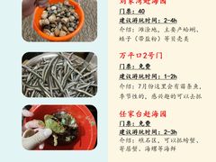 -巧克力渔家.小船海鲜胶东菜(万平口店)