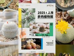 -瑞虹新天地月亮湾