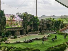 -新加坡飞禽公园